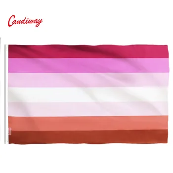Лесбийски флаг Розово лилаво Rainbow знамена полиестер с месингови втулки 3 X 5 фута ярък цвят UV избледняват ярък цвят UV избледняват резистан